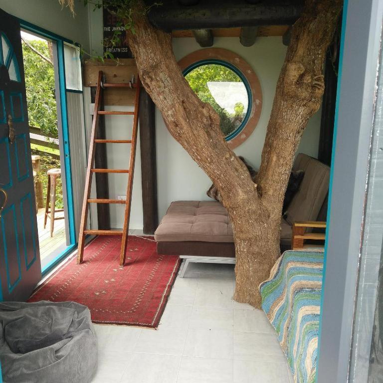Starry Nights Cabin Fever Waikino Zimmer foto