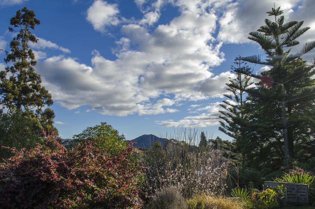 Starry Nights Cabin Fever Waikino Exterior foto
